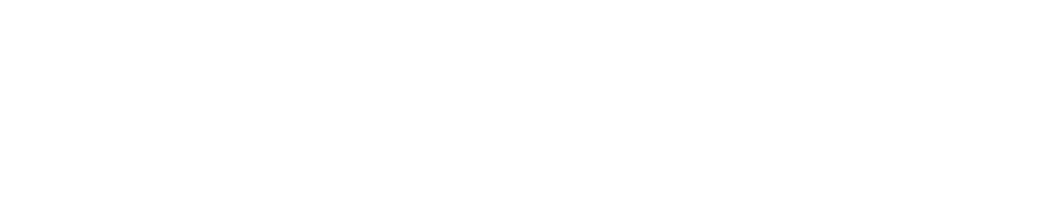 cleanwall.cz